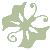 Mariposa